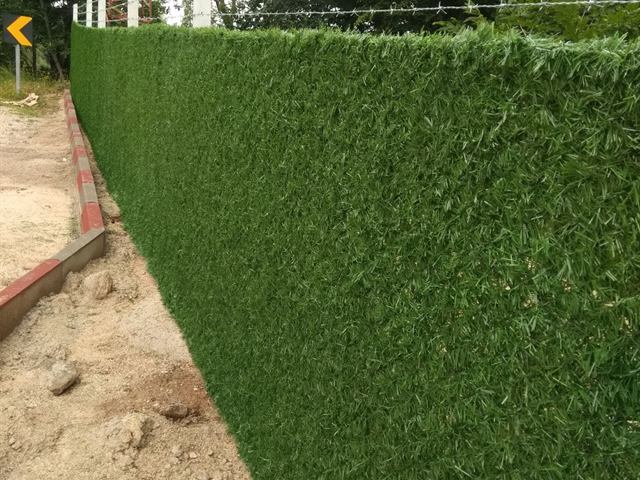 Yol boyunca uzanan yeşil çim çit uygulaması